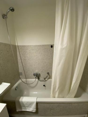 a bathroom with a bath tub with a shower curtain at Villa Ani in Ascona