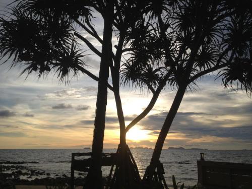 two palm trees on the beach with a sunset at Nautilus Right on the Beach - Adult Only - SHA Extra Plus in Ko Lanta