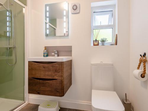 a bathroom with a sink and a toilet and a mirror at Westmoor Annexe in Hereford