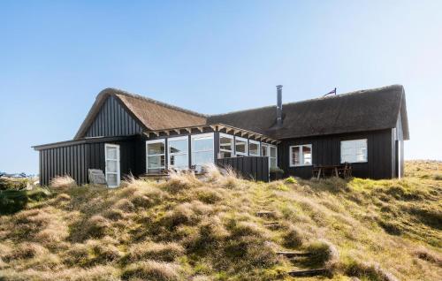 ファーンにある3 Bedroom Gorgeous Home In Fanøの丘の上の黒家