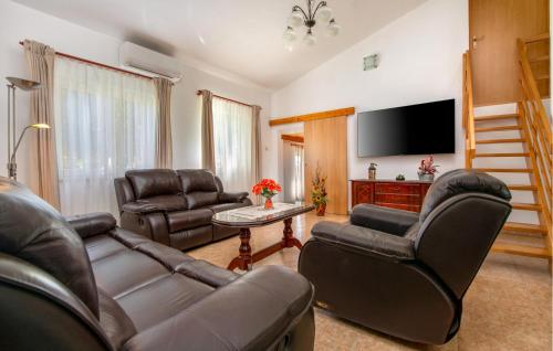 ein Wohnzimmer mit Ledermöbeln und einem Flachbild-TV in der Unterkunft Awesome Home In Barban With Jacuzzi in Divšići