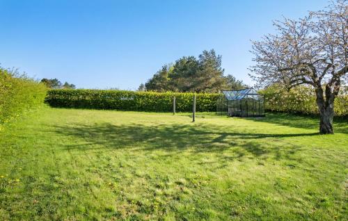 a tree in the middle of a field with a goal at 2 Bedroom Cozy Home In Haarby in Hårby