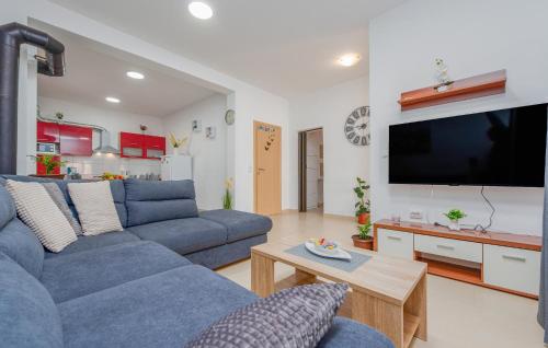 Μια τηλεόραση ή/και κέντρο ψυχαγωγίας στο Pet Friendly Home In Banjevci With Wifi