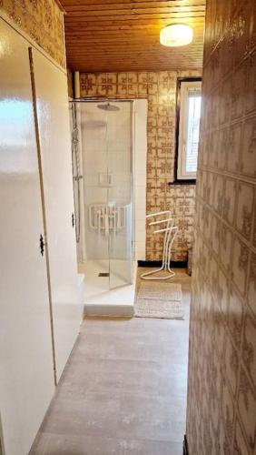 une salle de bain avec douche et porte vitrée dans l'établissement L'Amelia, à Thonon-les-Bains