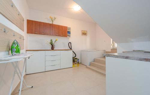 Η κουζίνα ή μικρή κουζίνα στο Pet Friendly Home In Banjevci With Wifi