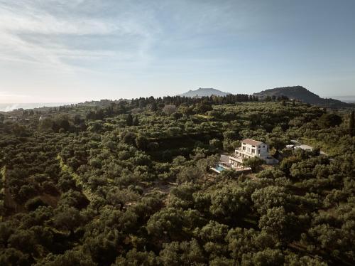 DiLa Grand Villa, a 5acres Secluded Sanctuary with Pool, By ThinkVilla