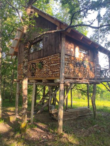 Cabane perchée