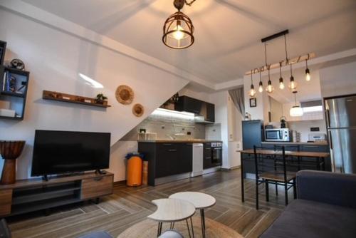 uma sala de estar com uma televisão e uma cozinha em Passatempo Apartment Ireon em Samos