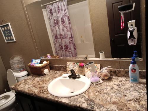 a bathroom counter with a sink and a toilet at Peaceful home in Rome