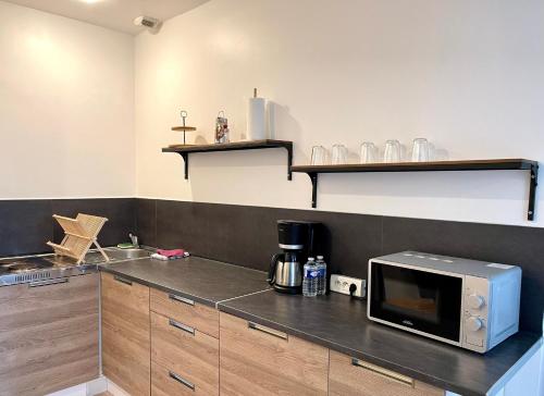 Η κουζίνα ή μικρή κουζίνα στο Le Balinais - Centre-ville