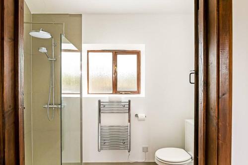 a bathroom with a shower and a toilet and a window at Glyme Flat - Peaceful Country Retreat! in Chipping Norton