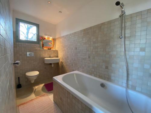 a bathroom with a tub and a toilet and a sink at Chateau de la Biste in Tourdun