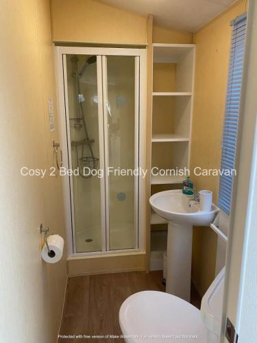 a bathroom with a shower and a toilet and a sink at Cosy 2 bed pet friendly holiday home Crantock Nr Newquay in Crantock