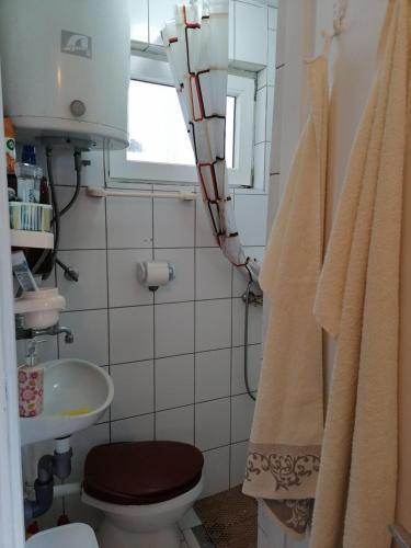 a small bathroom with a toilet and a sink at Vikendica Drinski mir in Loznica