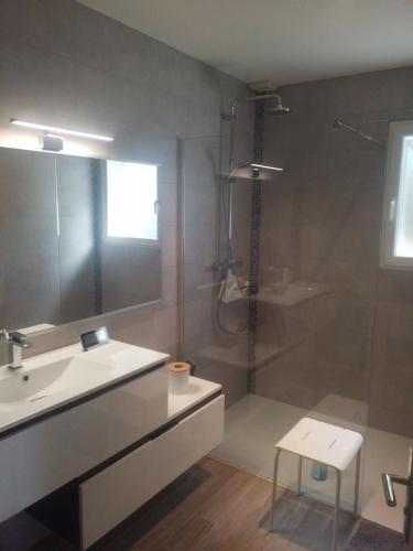 a bathroom with a shower and a sink and a mirror at Les Echappees belles - La Villa in Tarnos