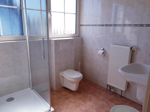 a bathroom with a shower and a toilet and a sink at Sanne in Nes