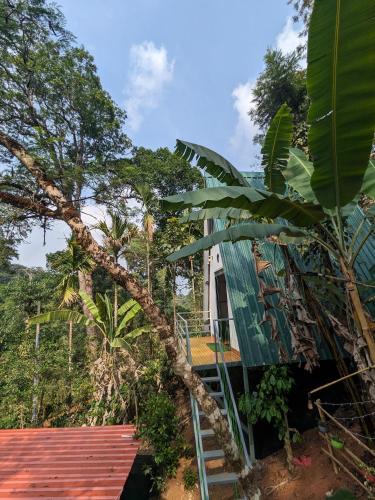 a house with a green roof and a tree at Coorgology - The estate stay in Madikeri