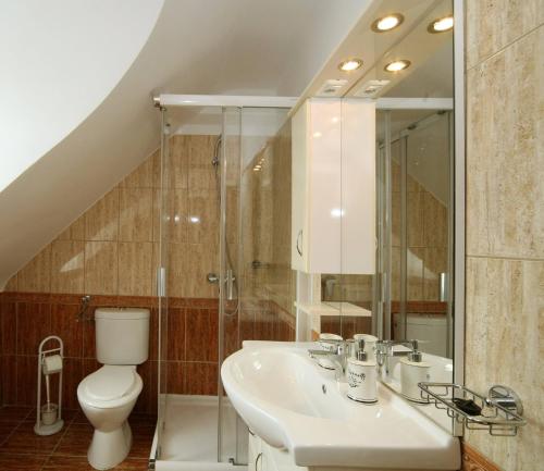 łazienka z umywalką i toaletą w obiekcie Rajna Vendégház w Bogácsu