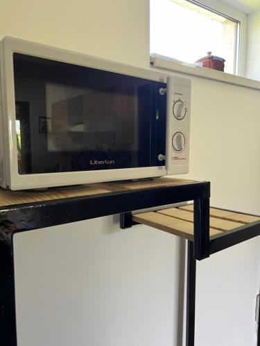 a microwave oven on a shelf in a kitchen at Котедж Шум Черемоша на березі річки in Verkhovyna
