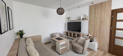 a living room with a couch and a tv at Útulný byt v centru města in Rychnov nad Kněžnou