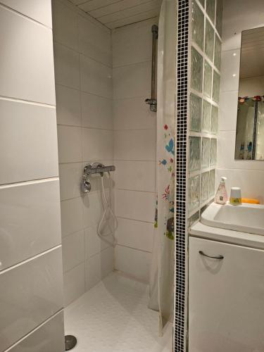 une salle de bain avec douche et lavabo dans l'établissement Résidence Amourêva,T2, vue LAGON, proche mer, parking, clim, piscine, au Cap d'Agde