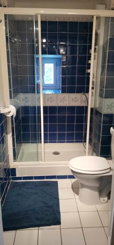 a blue tiled bathroom with a toilet and a shower at Chambres d'hôtes des Princes de Bel Air in Loudun
