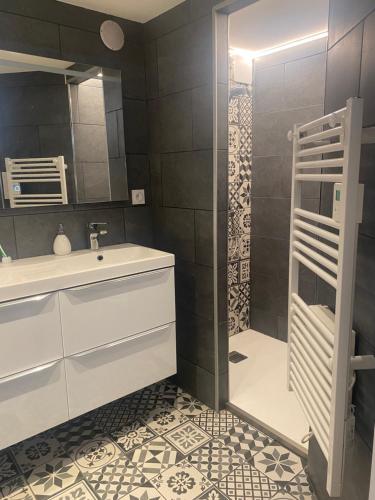 une salle de bain avec un lavabo et une douche dans l'établissement CHAMBRE CHEZ L'HABITANT CENTRE VILLE DE LYON, à Lyon