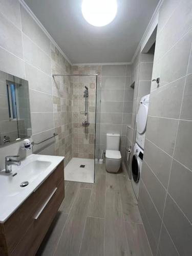 a bathroom with a shower and a sink and a toilet at Sweet 1-bedroom penthouse in the heart of it all in Il-Gżira