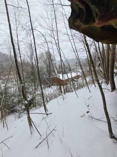 a snow covered field with some trees and branches at Hocking Hills Cabin-Private Hot Tub, Hiking, Caves in Rockbridge