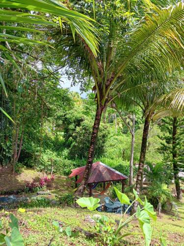 uma pequena cabana numa floresta com palmeiras em Villa BEAUCI-TURLET em Goyave