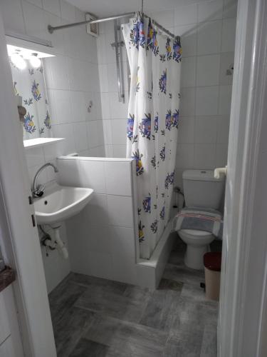 y baño con lavabo, aseo y cortina de ducha. en Korasida Blue Coast, en Akhladherí