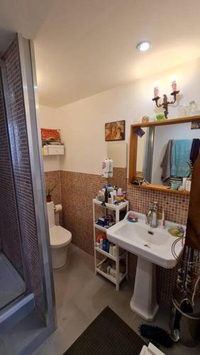 une salle de bain avec un lavabo, des toilettes et un miroir dans l'établissement Agréable maison de ville avec patio, à Marseille