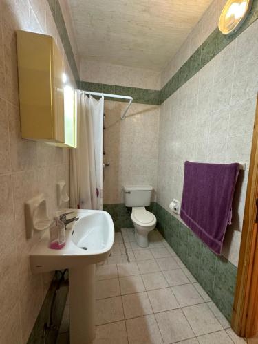 a bathroom with a sink and a toilet and purple towel at Nawrat Farmhouse in Għarb