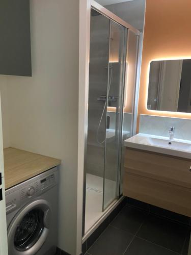 une salle de bain avec une machine à laver et un lave-linge dans l'établissement T2 cosy 4 places RDC - jardin, à Lons
