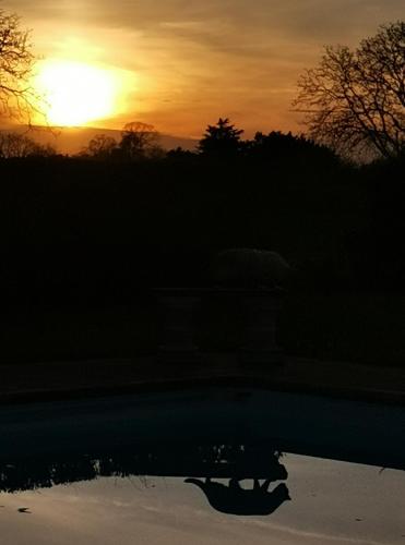 a sunset with a reflection in a pool of water at Chambres d'hôtes des Princes de Bel Air in Loudun