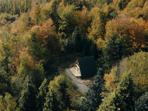 widok z powietrza na domek na środku lasu w obiekcie A-frame Forest Nest w mieście Cerklje na Gorenjskem