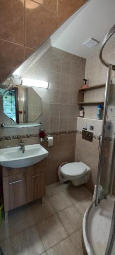 a bathroom with a sink and a toilet and a mirror at H&P Apartmán Rokytno 6 in Rokytnice nad Jizerou