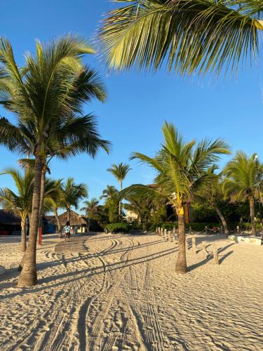 a row of palm trees on a sandy beach at paradise close to the beach pool free parking,wifi- punta cana in Punta Cana