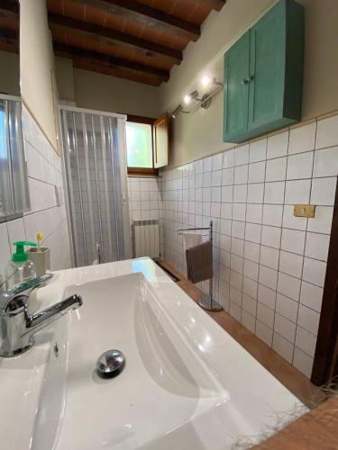 a bathroom with a white sink and green cabinets at Il Nido in Gambassi Terme