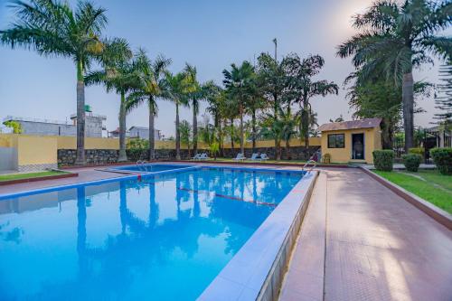 索拉哈的住宿－七星酒店，一座拥有蓝色海水和棕榈树的游泳池