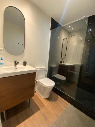 uma casa de banho com um WC, um lavatório e um espelho. em Bilbao center apartament em Bilbao