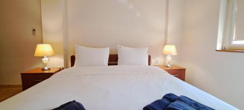 1 dormitorio con 1 cama blanca grande y 2 lámparas en Golden Delight Central Apartment, en Skopje