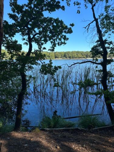 a view of a lake through the trees at Op den Distelberg in Helvoirt
