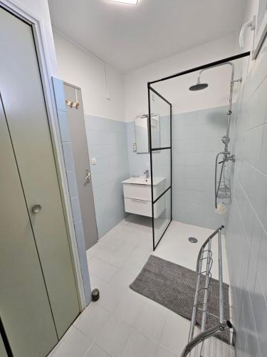 a bathroom with a walk in shower and a sink at Appartement les abeillons in Vinon-sur-Verdon