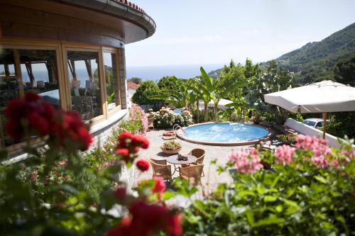 a garden with a swimming pool and some flowers at Hotel Gallo Nero in SantʼAndrea