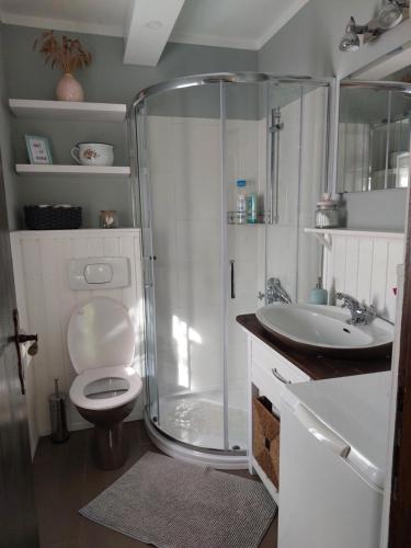 y baño con ducha, aseo y lavamanos. en Martin's Family Cottage, en Šmarje pri Jelšah