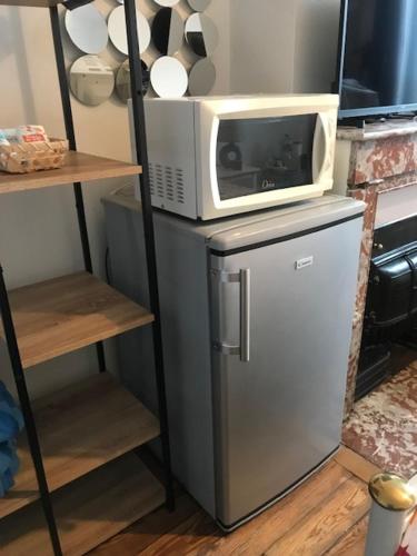 un micro-ondes posé sur un réfrigérateur dans l'établissement vaste chambre familiale, à Bourg-en-Bresse
