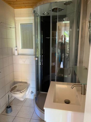 a bathroom with a shower and a toilet and a sink at Haus 9 in Schwarz