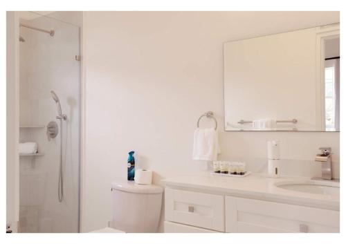 W łazience znajduje się umywalka, toaleta i lustro. w obiekcie Sauna Pool Game Room Bliss w mieście Rodney Bay