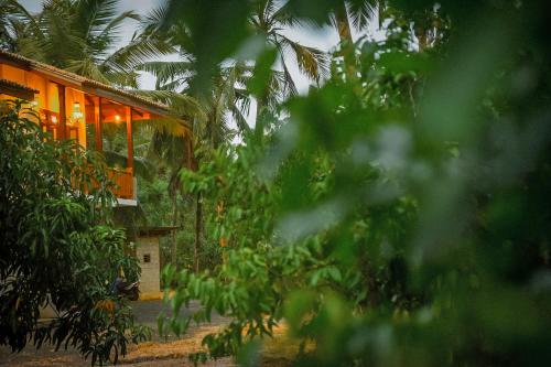 Un jardín fuera de Cinnamon Lagoon Villas